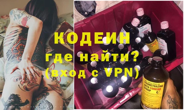 эйфоретик Няндома