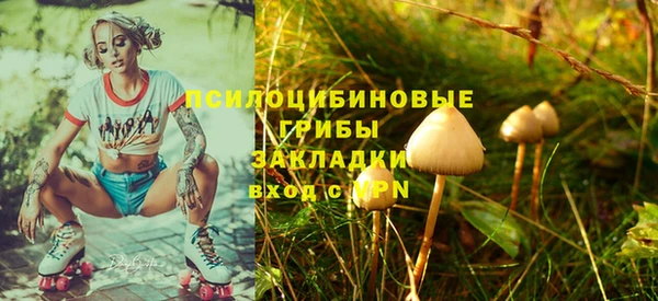 скорость Алексин
