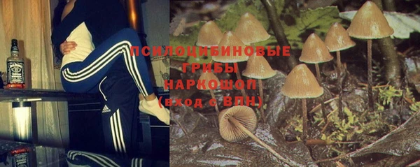 скорость Алексин