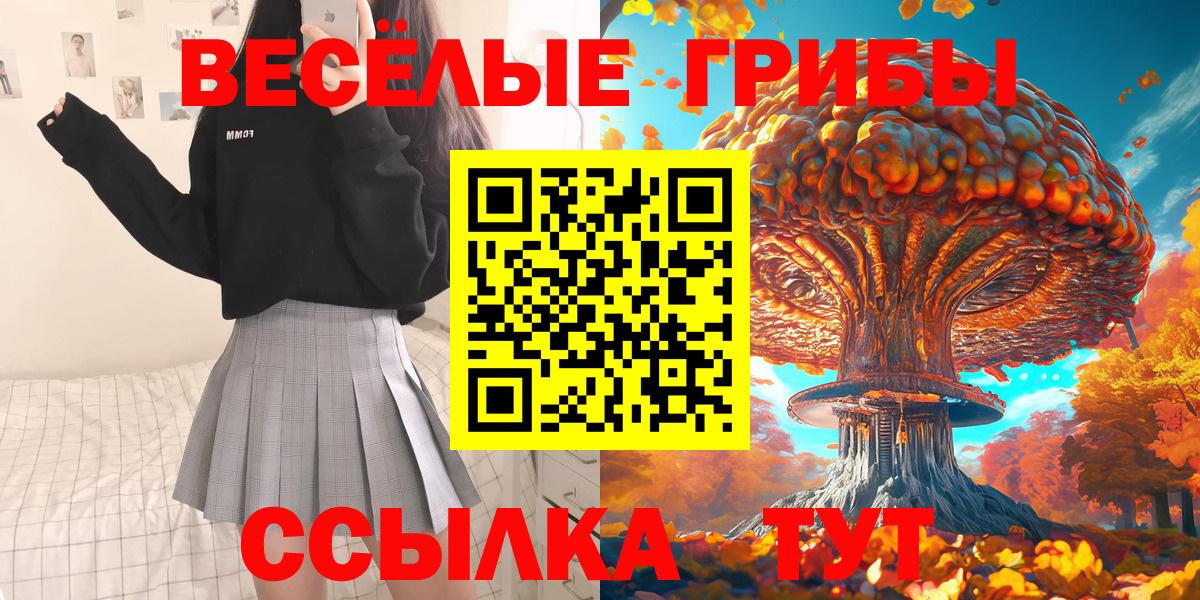 Энгельс  Галлюциногенные грибы Magic Shrooms  Вход с VPN 